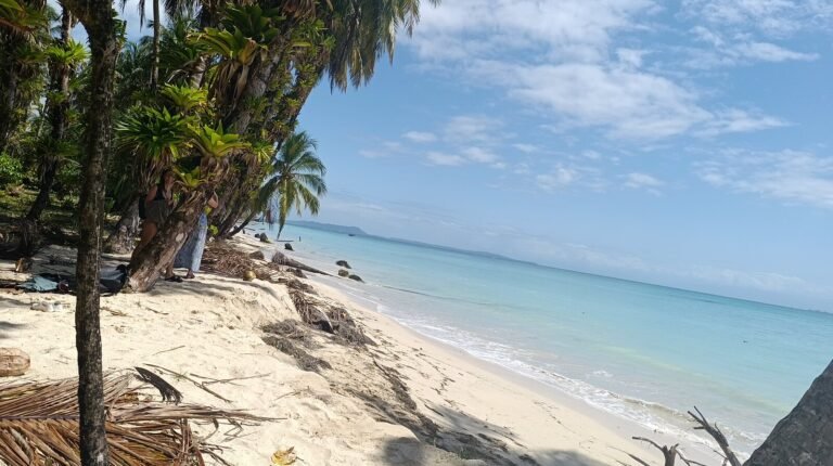 Bocas 01