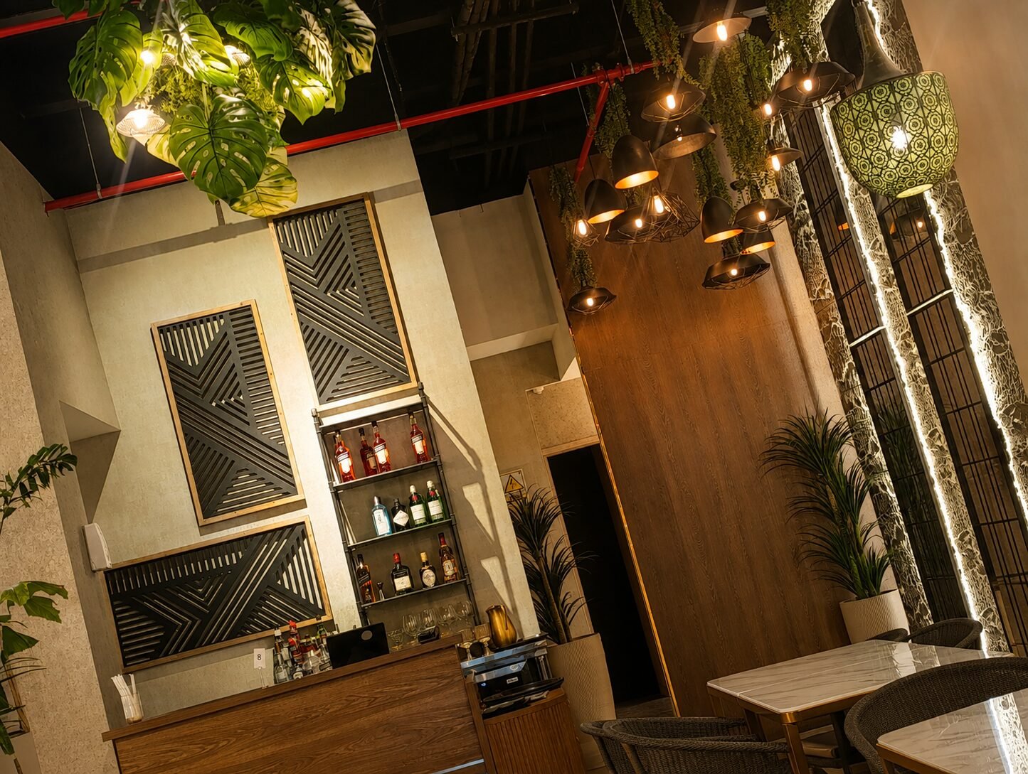 Carolina's bar — plants, lamps and the mood of the house