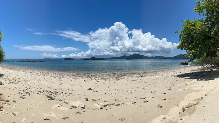 Real coiba