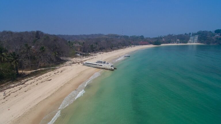 Real contadora