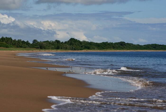 Playa El Arenal, Pedasí