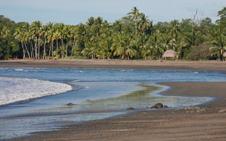 Web praia